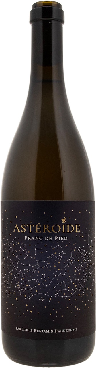 2019 Asteroïde