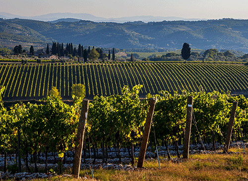 Marchesi Antinori