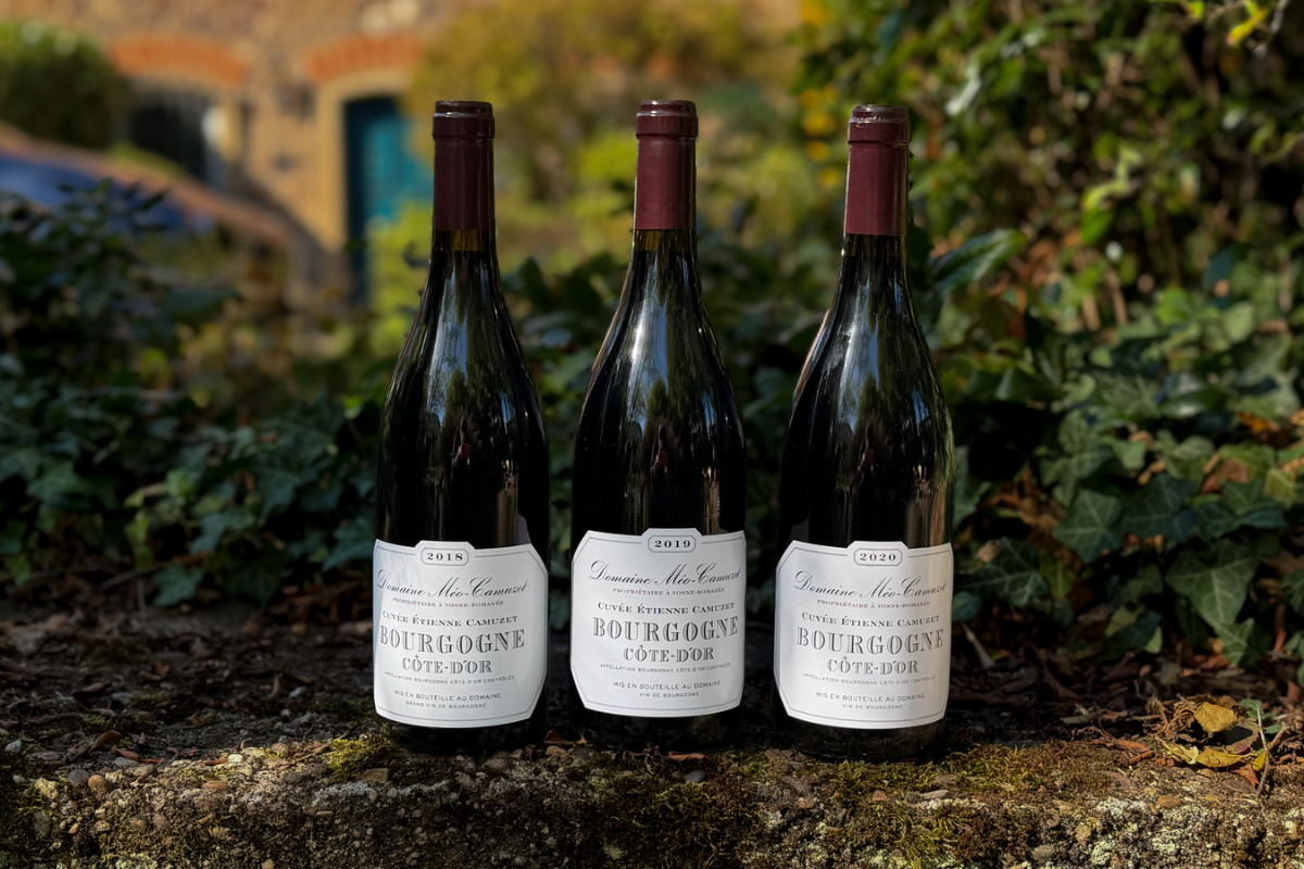 Cuvée Etienne Camuzet