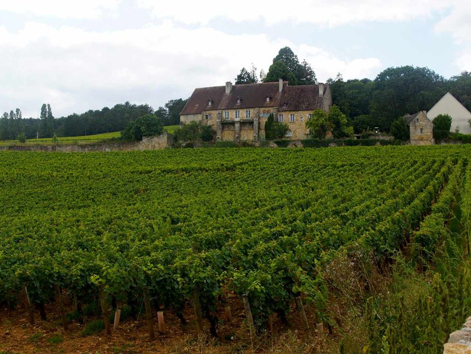 Geimeinde Fixin Burgund - Clos de Chapitre
