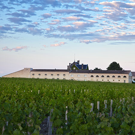 Blick auf Château Mouton Rothschild