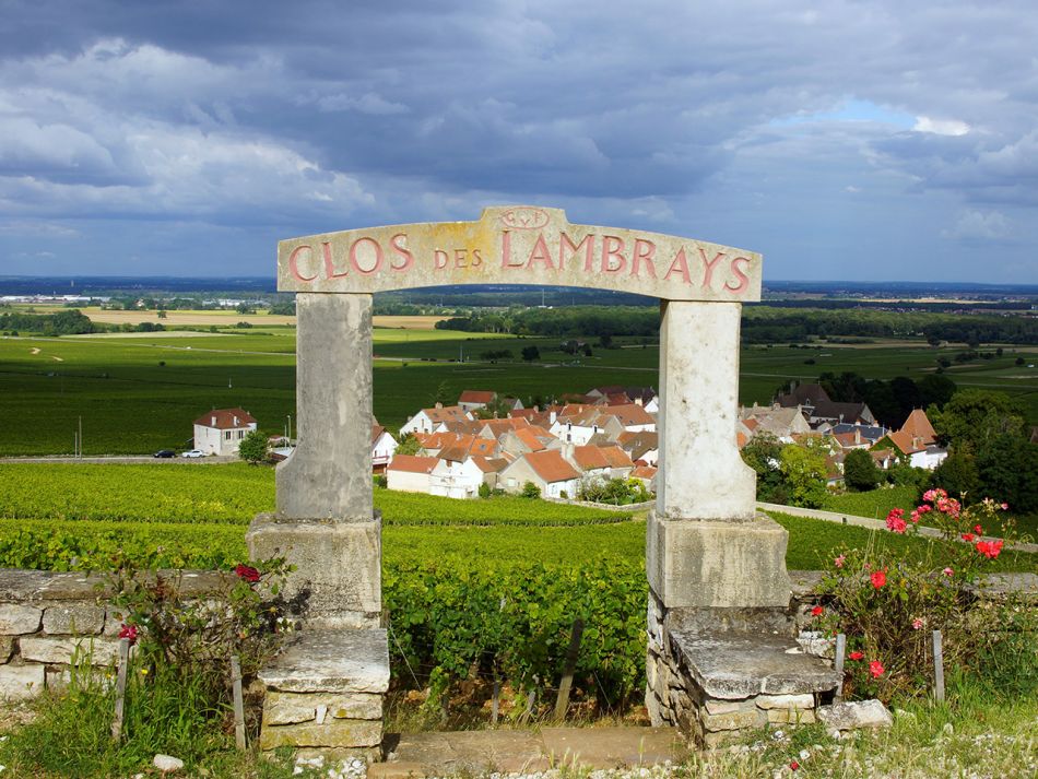 Domaine des Lambrays - Weinberg