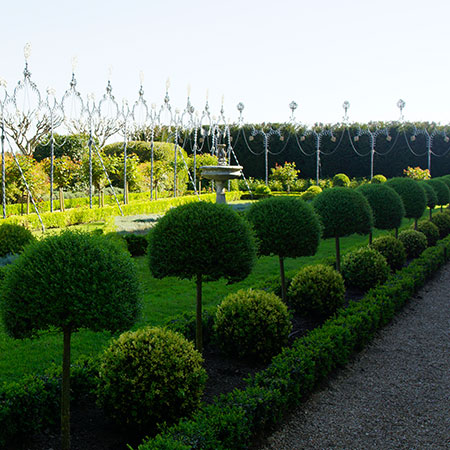 Der Garten von La Mission Haut Brion